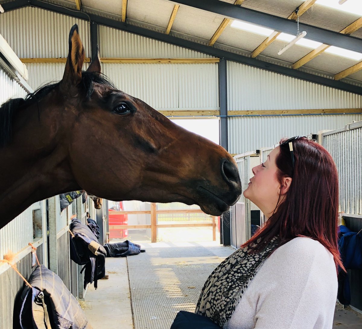 Riella101's tweet photo. Happiness is spending time with the gorgeous race horses at Warren Chase. Happy healthy and every one of them curious and kind. Thanks @O_J_murphy91 and @OllyMurphyClub #OllyMurphyRacing #horseheaven #comeracing https://t.co/8MBRYs8144