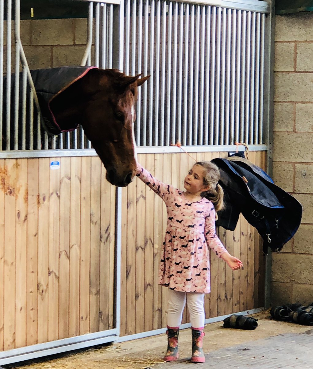 Riella101's tweet photo. Happiness is spending time with the gorgeous race horses at Warren Chase. Happy healthy and every one of them curious and kind. Thanks @O_J_murphy91 and @OllyMurphyClub #OllyMurphyRacing #horseheaven #comeracing https://t.co/8MBRYs8144