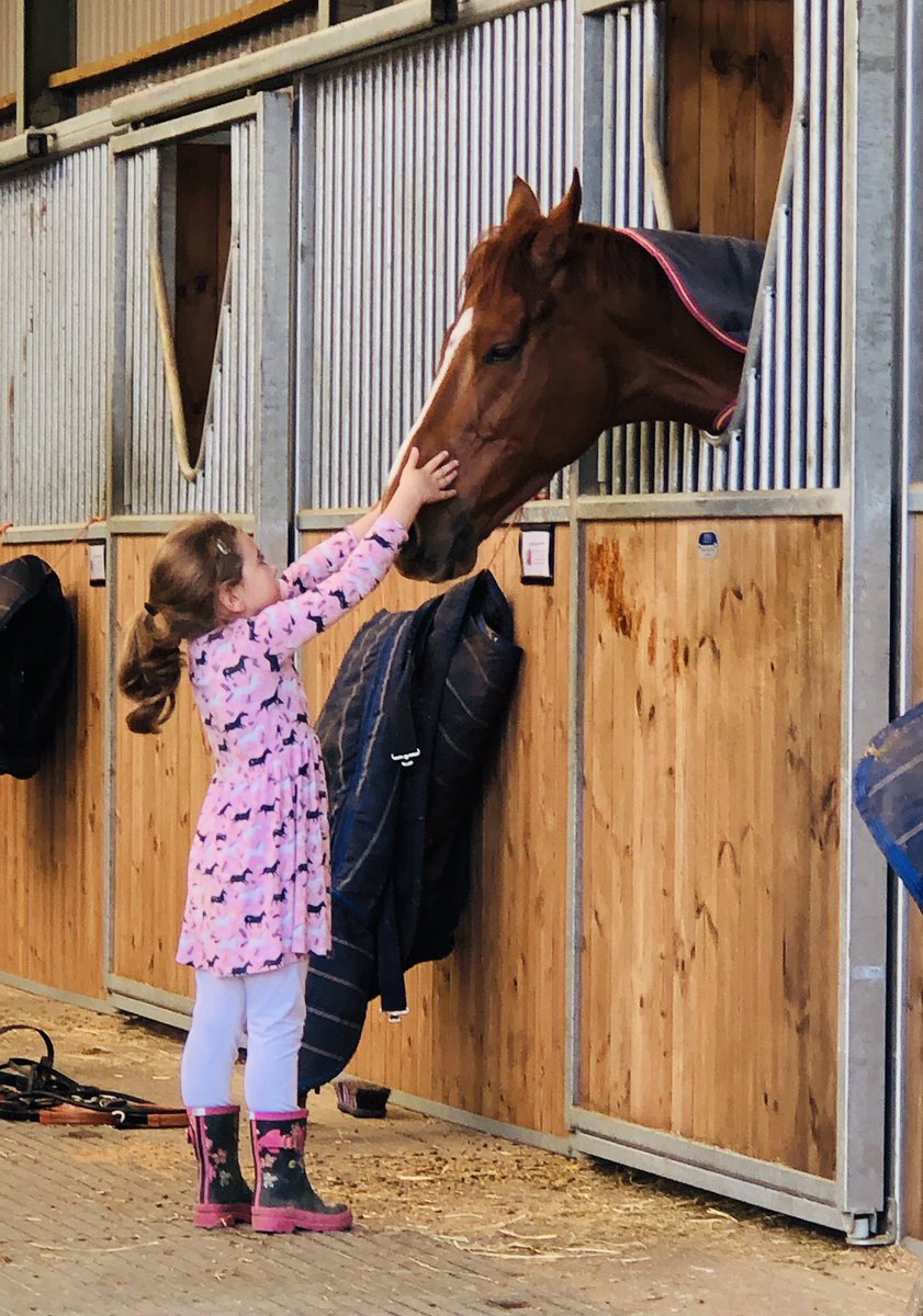 Riella101's tweet photo. Happiness is spending time with the gorgeous race horses at Warren Chase. Happy healthy and every one of them curious and kind. Thanks @O_J_murphy91 and @OllyMurphyClub #OllyMurphyRacing #horseheaven #comeracing https://t.co/8MBRYs8144