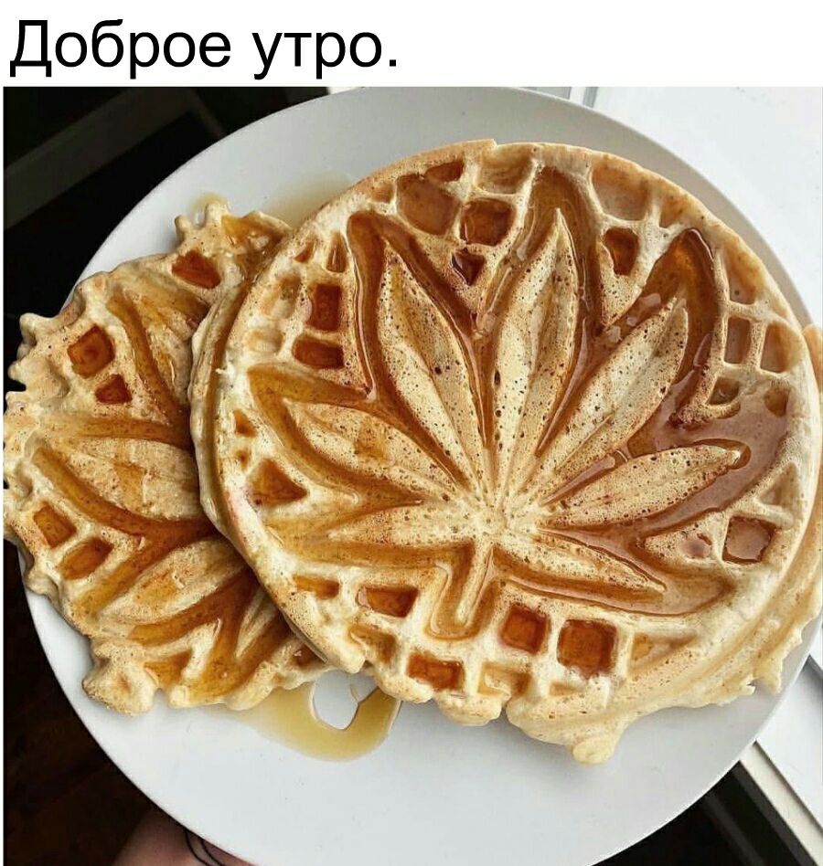 Татьяна Бородина (@ribo4kast) on Twitter photo 