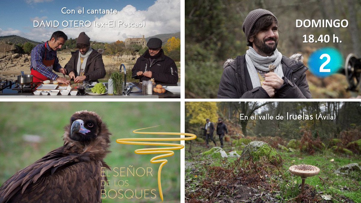Valle de Iruelas Núcleo de Turismo Rural tweet media