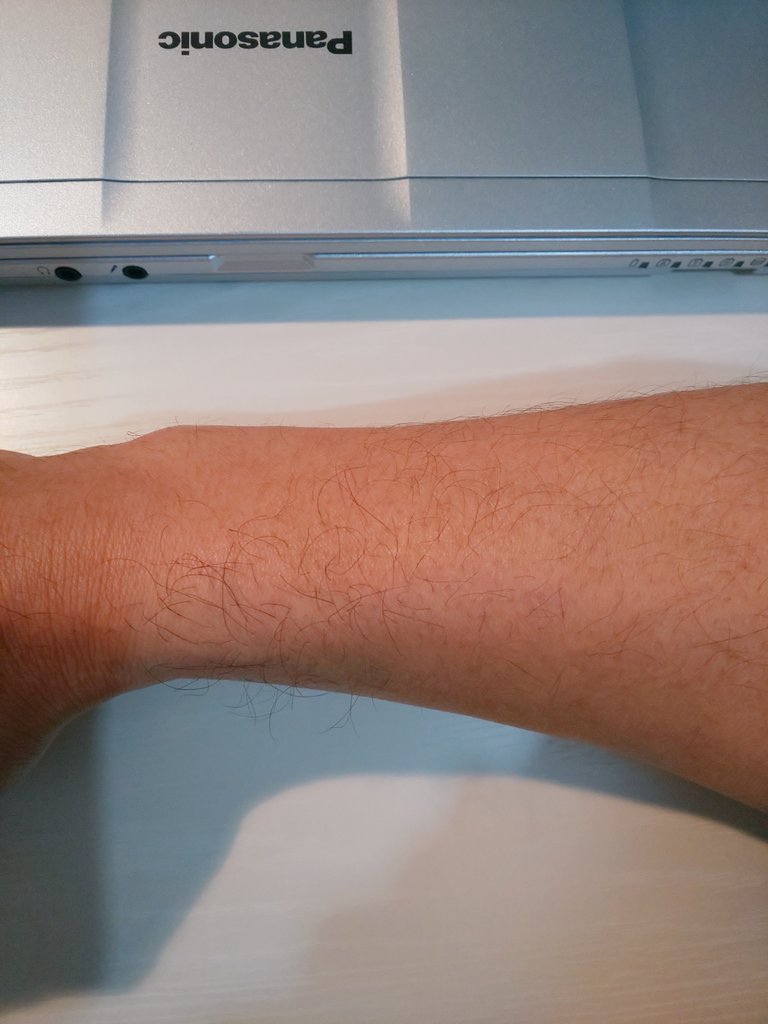 joe_vetcow's tweet photo. 牛の直腸検査する側の腕毛のほうが濃いのはなぜだろう。
何人かの先生に聞いたら同感してくれたんだよね～(笑)
ここにはハゲを解決する何かが隠されているのかもしれない。 https://t.co/Fud7x3F5mq