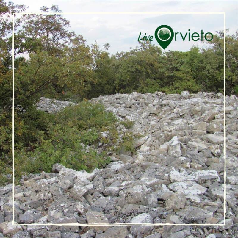 LiveOrvieto's tweet photo. Conoscete il castelliere di #Montegabbione? Presenti già dall'età del Bronzo e molto diffusi anche nella zona del Monte Peglia, erano recinti fortificati che sorgevano in cima alle colline per controllare vaste zone e dominare le vie di comunicazione. 
#ViviOrvieto #LiveOrvieto https://t.co/fhUlQjXvqK