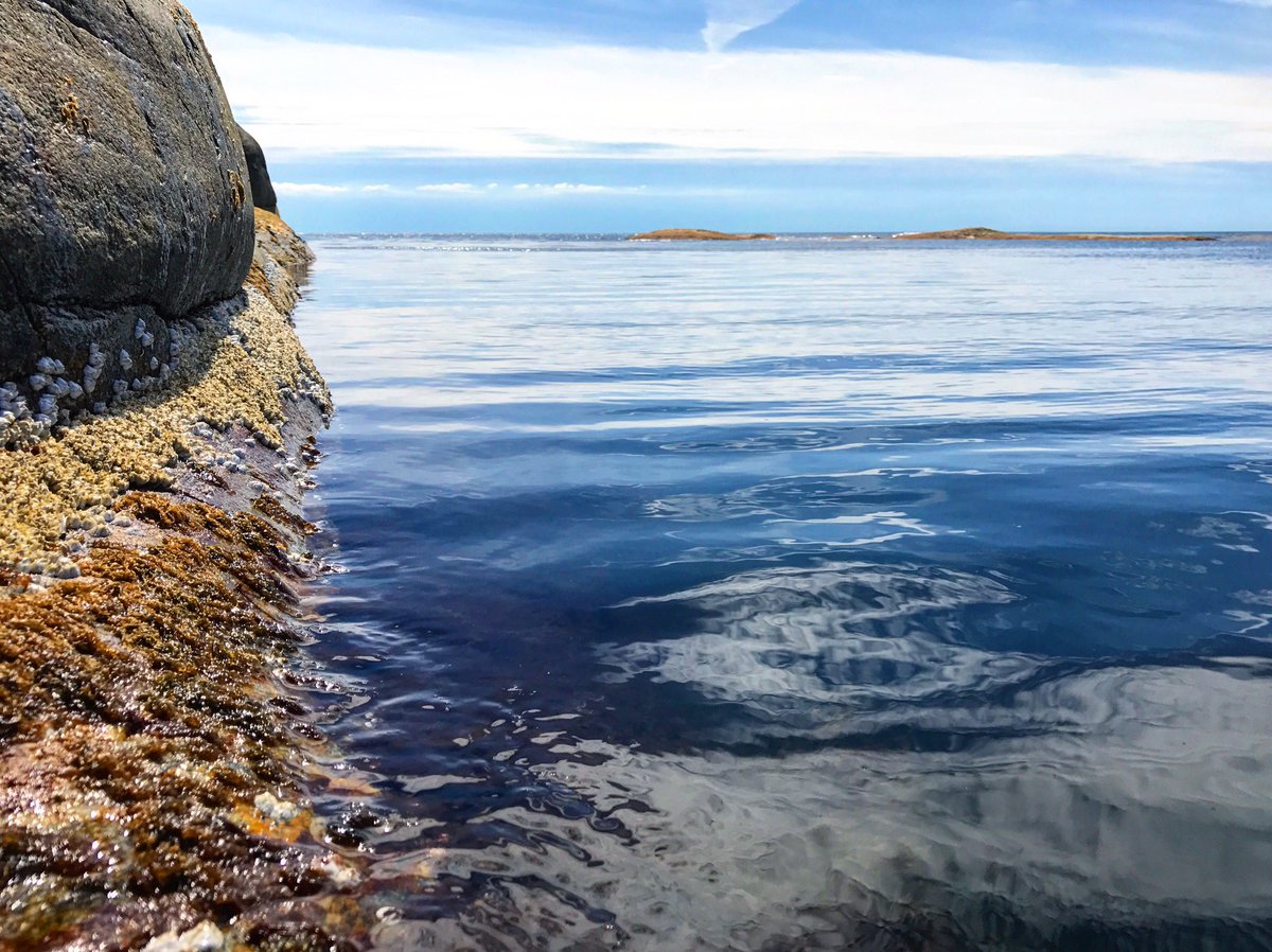 KosterhavetsEko's tweet photo. Idag är det SOMMARTID! ☀️⏱ Snart är det alltså SOMMAR! 🥳👏😍
#sommartid #solochbad #sommarpåkoster #kosterhavet #längtlängt #kosterhavetsekobod https://t.co/Avscq3iO34