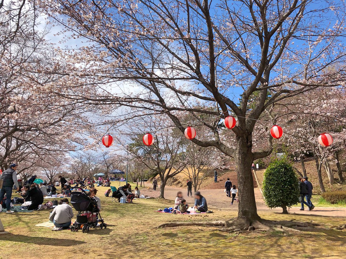 紙ひこーき 午後は足利公園の桜まつりへ 沢山の人で賑わっていました 平成最後のお花見 この平和な風景がずーっと続きますように 足利公園 桜 素通り禁止足利 紙ひこーき 午後は足利公園の桜まつりへ 沢山の人で賑わっていました 平成最後のお花見 この平和な風景がずーっと続きますように 足利公園 桜 素通り禁止足利
