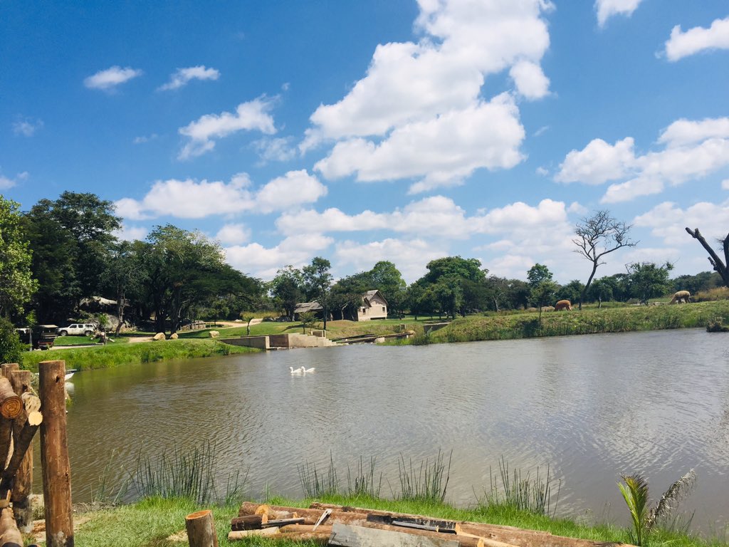 pamushana_'s tweet photo. We want to thank everyone who supported our One Day Tour to Nyati Eco Game Park. We are grateful to those who subscribed and to God who protected us through the journey. We love seeing Zimbabwe. Catch us on the next tour.
#OneDayTours
#TouriZim
#Pamushana
🚌👌🏾 https://t.co/kkLRQn7j1v
