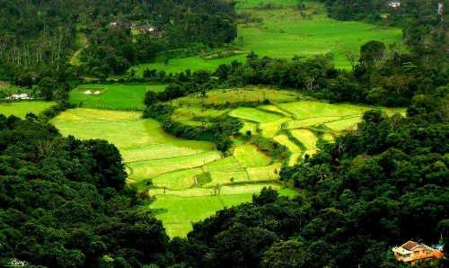 indiamagicaltri's tweet photo. Coorg, Karnataka - The Scotland of India
Located amidst imposing mountains in Karnataka with a perpetually misty landscape. 
#karnataka #coorg ##india #incredibleindia #visitindia #incredibleindia 
For more info visit the website given below-
https://t.co/2wTEHoQhhU https://t.co/WihsOh4MX1