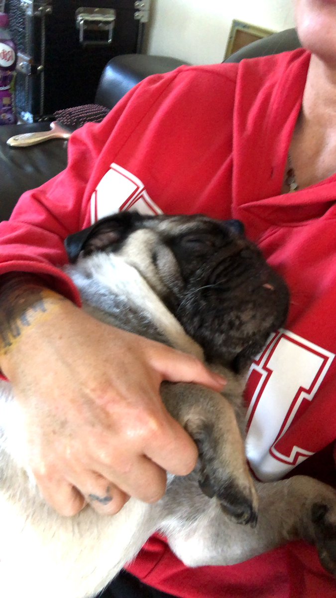 Pug love on #MotheringSunday #pug #puglife