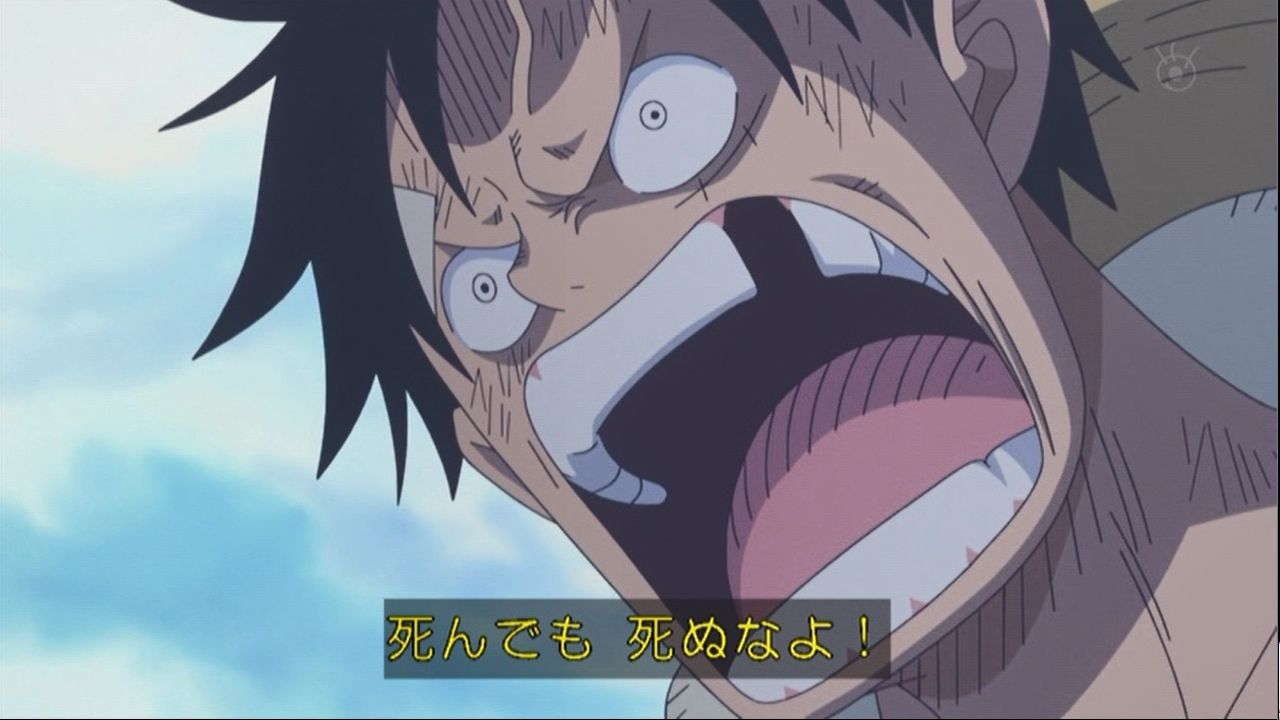 嘲笑のひよこ すすき ルフィ 死んでも死ぬなよ Onepiece ワンピース T Co Sd6ttmcn5j Twitter 嘲笑のひよこ すすき ルフィ 死んでも死ぬなよ Onepiece ワンピース T Co Sd6ttmcn5j Twitter