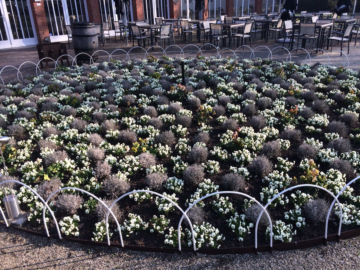 Terras voor de orangerie Franse tuin. Fleurig zonnig uitzicht. Koffie net gebak smaakt toch extra lekker...