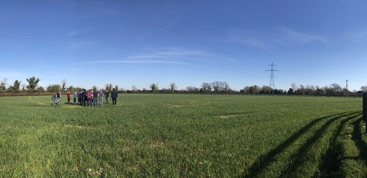 Alltech Ireland tweet media