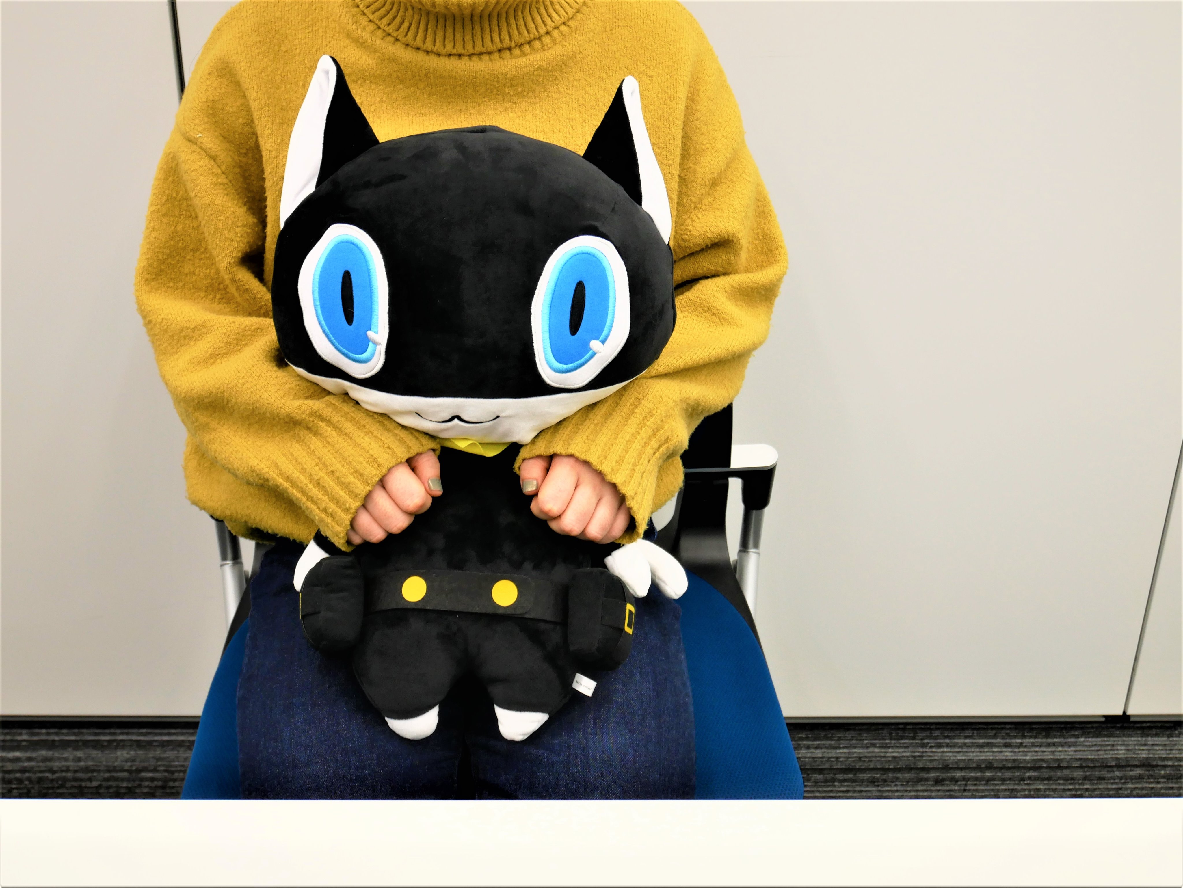限定特価 モルガナぬいぐるみ shinei-sw.jp 限定特価 モルガナぬいぐるみ shinei-sw.jp