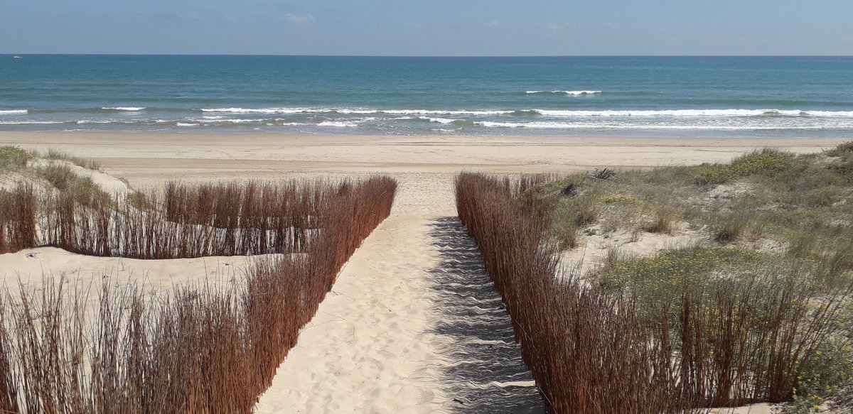 MRElectrique's tweet image. Divendres de glòria al #Mareny