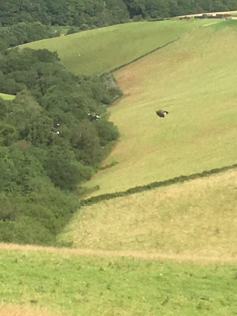 Farmers Of The UK on Twitter: 