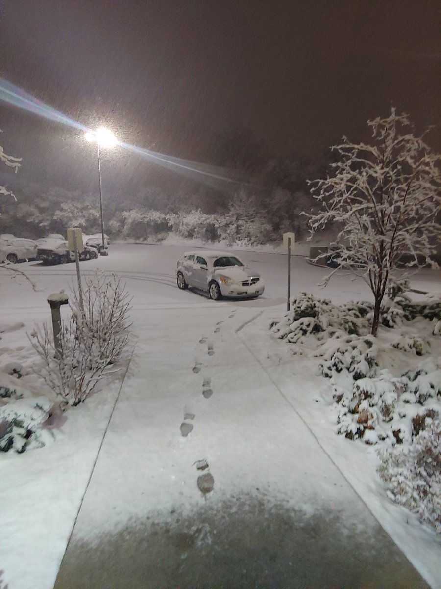 HemingwayHemstr's tweet photo. Mom's car this morning. She forgot to take pic at home so this is at work. @iamtammycat @Jack4Presidente @mastertabbywan @Slinky_The_Cat @LeoPussMan @CaspertheKat @3phibotticelli @33mcguinness https://t.co/pCPHcJWX26