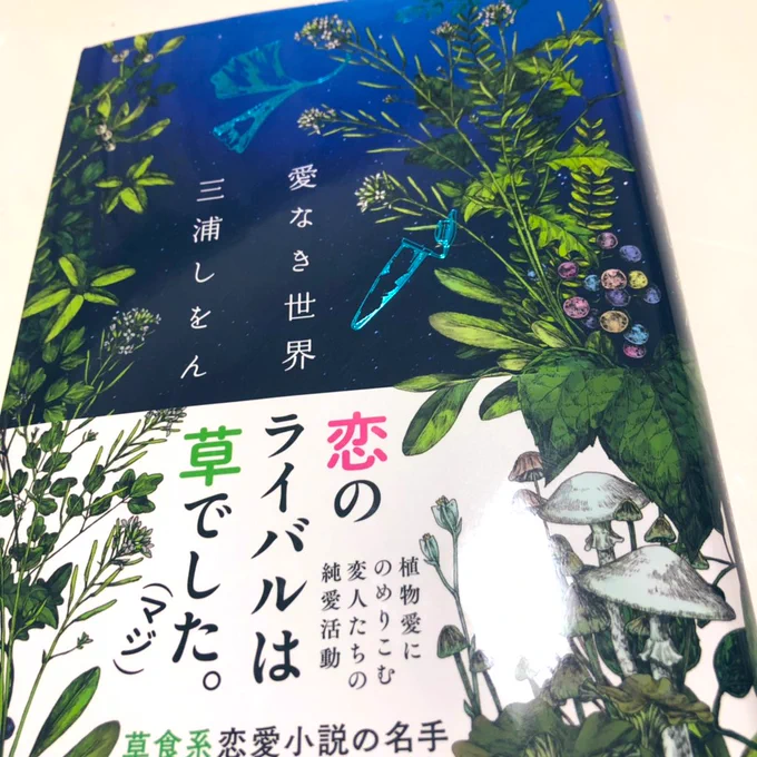 こんな綺麗な表紙じゃ、買いたくなっちゃうよね～😚👏 