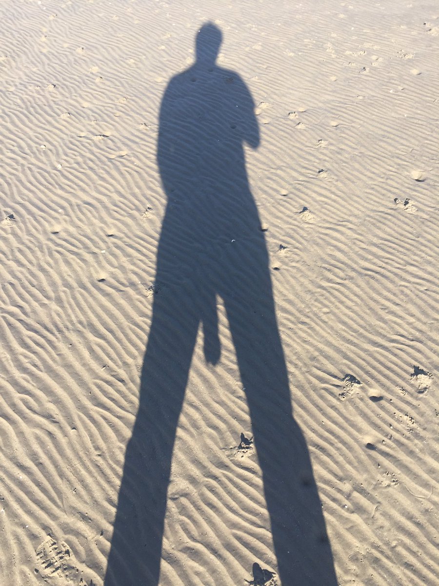 Egan2016's tweet photo. Went for a lovely walk on #Sandymount #beech yesterday. Was proud to see I was back in shape. #dublin https://t.co/6was7HxYar