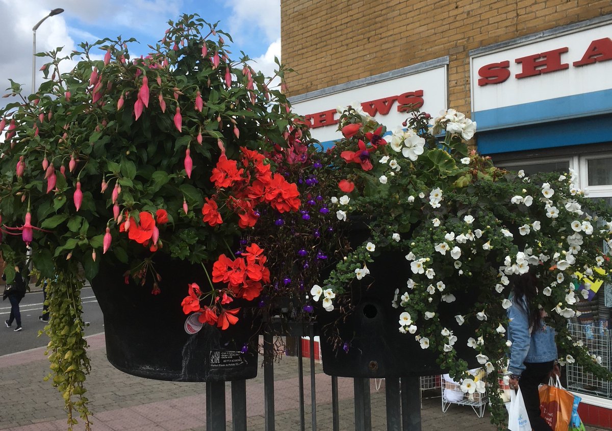Our collection of Airbus tokens was not large enough to take us into the prize category  :-(  We were hoping for some cash for our Springswood campaign, bringing back more green to Kingswood. Thanks all, but keep those fingers crossed, something else may turn up!
