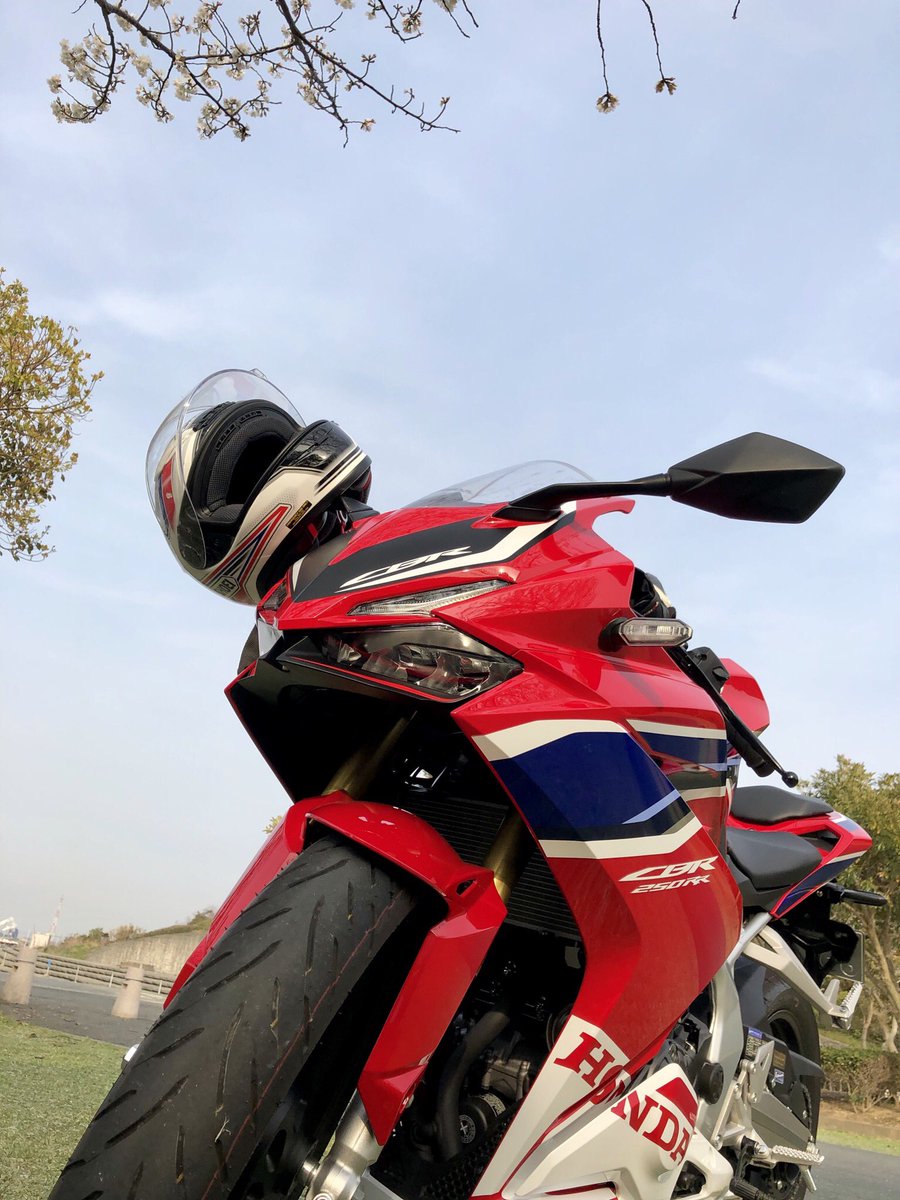 仏の永 なが さん Cbr250rr Cbr125r 桜 ソメイヨシノ Cbr250rr Mc51 白谷海水浴場 仏の永 なが さん Cbr250rr Cbr125r 桜 ソメイヨシノ Cbr250rr Mc51 白谷海水浴場