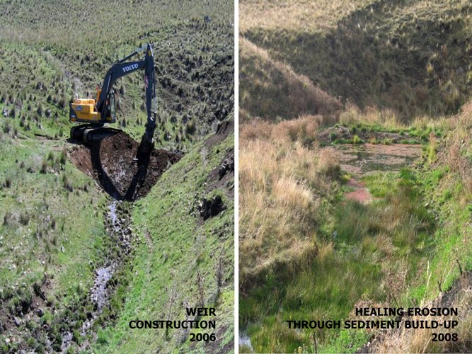 SoilsforLife's tweet photo. Changing management to make the most of rainfall #RegenerativeAgriculture case study #fixerosion #stableprofits https://t.co/MAEHIG2A8s https://t.co/nUtrZhHnjj