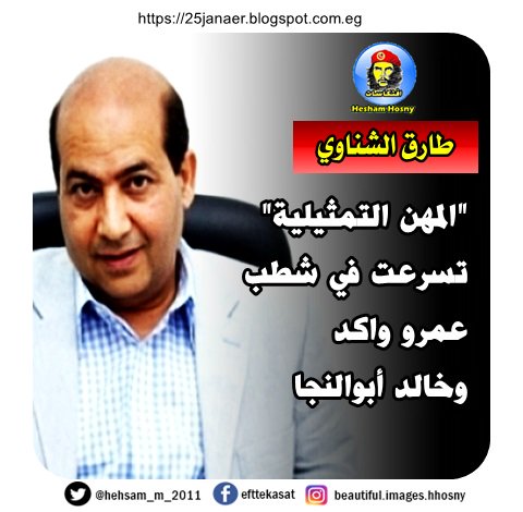 طارق الشناوي "المهن التمثيلية" تسرعت في شطب عمرو واكد وخالد أبوالنجا