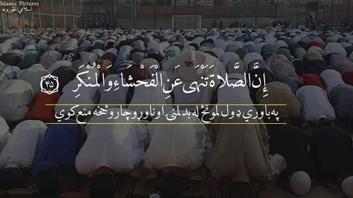 nasibAhmadzai12's tweet photo. حدیث شریف
پــــــــه بـــاوري ډول لـــمــونــځ لـــه بــدلمـــنــۍ او نـــاوړو چـــارو څــڅــه مـــنــع کــــوي https://t.co/R9jcTd0ywn