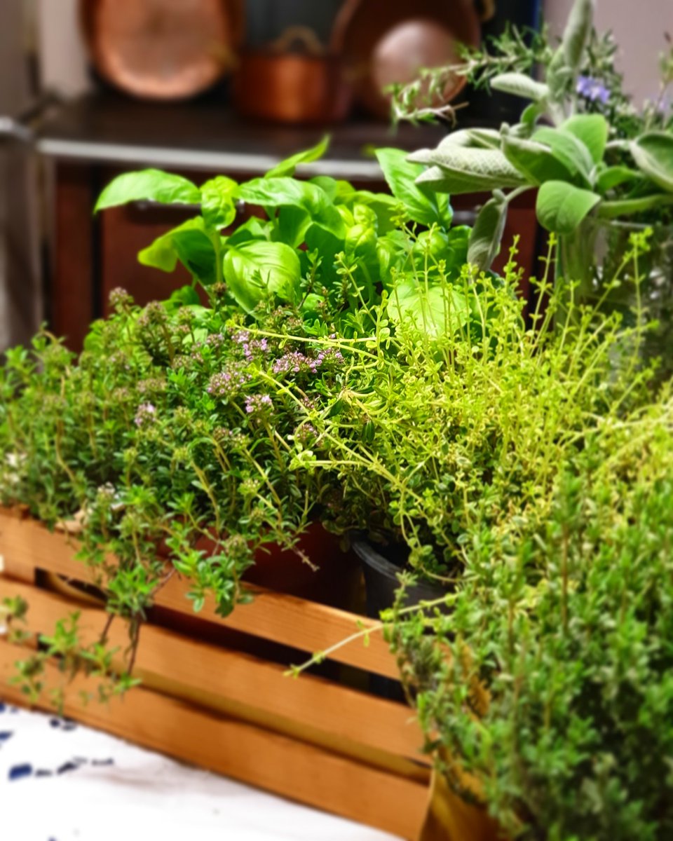 Le erbette aromatiche,  un omaggio alla #primavera ☘🌿🌱🌹🌷
Pronte per la nuova #ricetta!! #29marzo