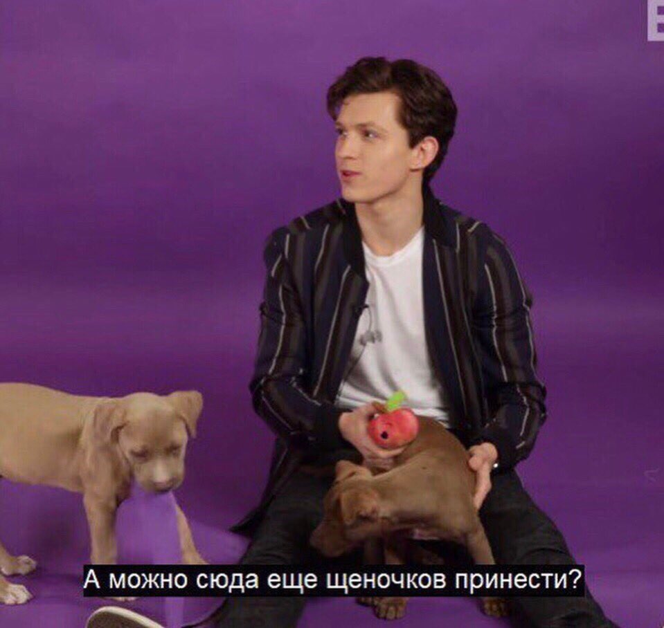 sativarotaru's tweet photo. Моё состояние 24/7 https://t.co/PO2WTQLO8w