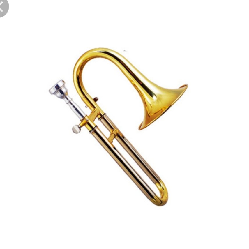 Proper Buzzin' tweet media