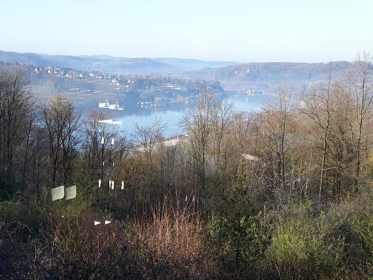 megan pascoe tweet media