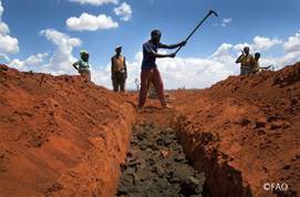 rgguei's tweet photo. Responsible #agriculturalinvestments have the potential to:
✓ enhance sustainable #livelihoods
✓ creating decent work for agricultural workers,
✓ eradicate #poverty,
✓ foster social and #gender equality.
https://t.co/IgT31WM89V
#ZeroHunger #RAIPrinciples @UN_CFS @FAOFDI https://t.co/WZC54CH1iq