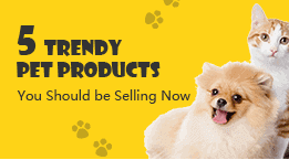 importexpresss's tweet photo. 5 Trendy Pet Products You Should be Selling Now 👉 https://t.co/1i9axGwAq6

#dogsoftwitter #puppy #love  #Chihuahua #yorkie #animal #pups #Dog #dogs https://t.co/NFcPMdfgQL