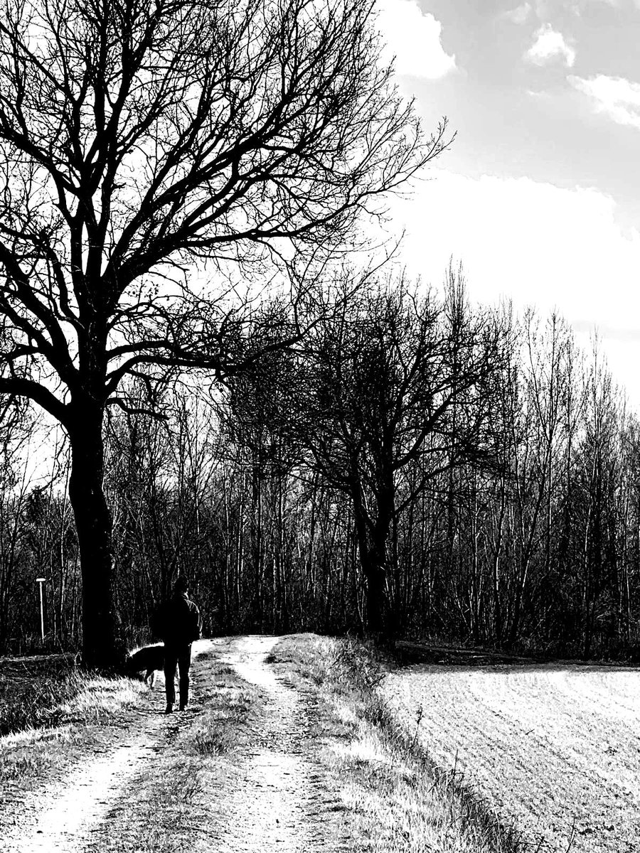 Chi di voi crede nella SPERANZA?

#Allume #NewVideo #ComingSoon