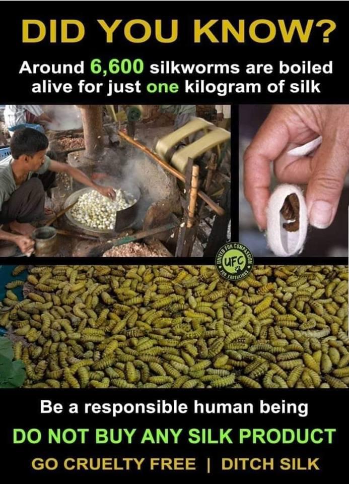 #vegan Be kind be vegan 💚