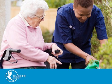 BluebirdWorc's tweet photo. Happy Friday! 

We’ve got some great news at Bluebird Care Worcester &amp; Wychavon: 

We have a brand-new job opportunity to join our fantastic evening care team! https://t.co/ZGEVg6HtFY