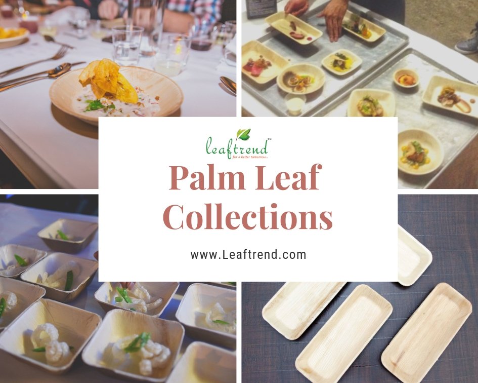 Leaftrend123's tweet photo. Shop different shape and size of palm leaf collections from https://t.co/ds8TME43a2.
#palmleaf #arecaleaf #plates #bowls #leaftray #palmplate #palmbowl #arecaplate #leafplate #ecobowl #ecofriendly #naturalplates #disposableplate #compostablebowl #biodegardable #wedding #events https://t.co/nlU4ysqyS0