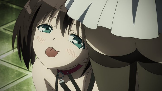 魔法少女特殊戦あすか 公式さん の最近のツイート 2 Whotwi グラフィカルtwitter分析 魔法少女特殊戦あすか 公式さん の最近のツイート 2 Whotwi グラフィカルtwitter分析