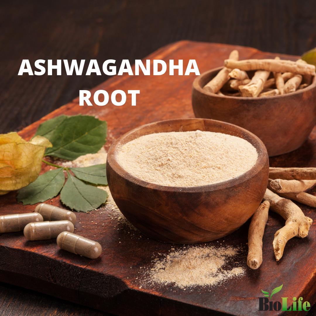 biolifenow's tweet image. Ashwagandha is an herb used in Ayurvedic medicine to treat stress and anxiety. Several studies suggest that it's effective.

#biolife #health #wellness #natural #vitamins #minerals #nutrients #nutrition #healthy #vitals #power #omega3 #relief #stress #anxiety