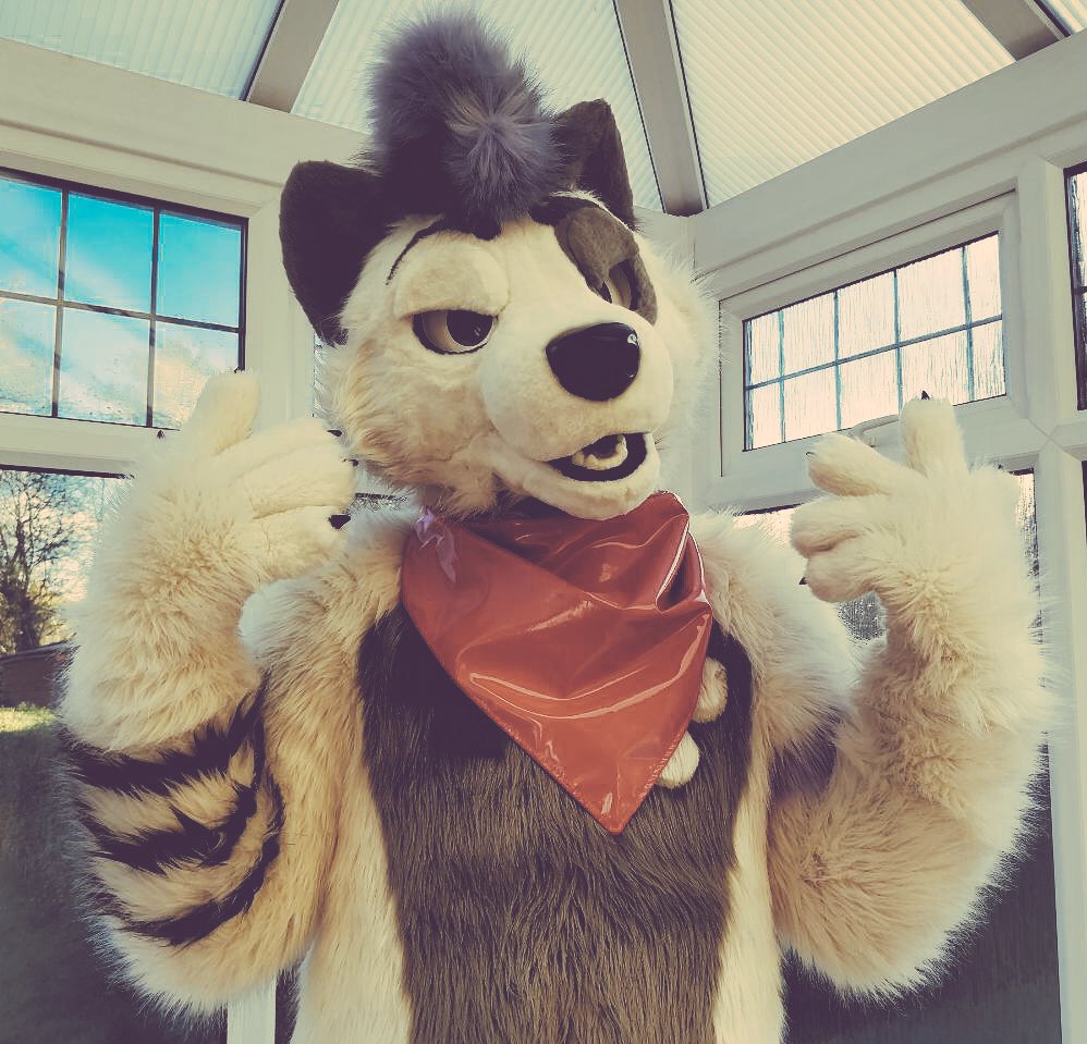 Happy #FursuitFriday fam! 🐾