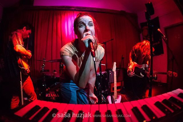 sasahuzjak's tweet photo. Koala Voice (@koala_voice), Da Da Tour, day 2 - Rock Caffe, Kostajnica (Bosnia and Herzegovina), 28/03/2019
.
.
Great place and amazing gig! 🔥🔥🔥
.
.
#koalavoice #dadatour #aboutlastnight #rockcaffe #kostajnica #bosniaandherzegovina #concert #concertphotography #concertphotog… https://t.co/5I9AjIlLg3