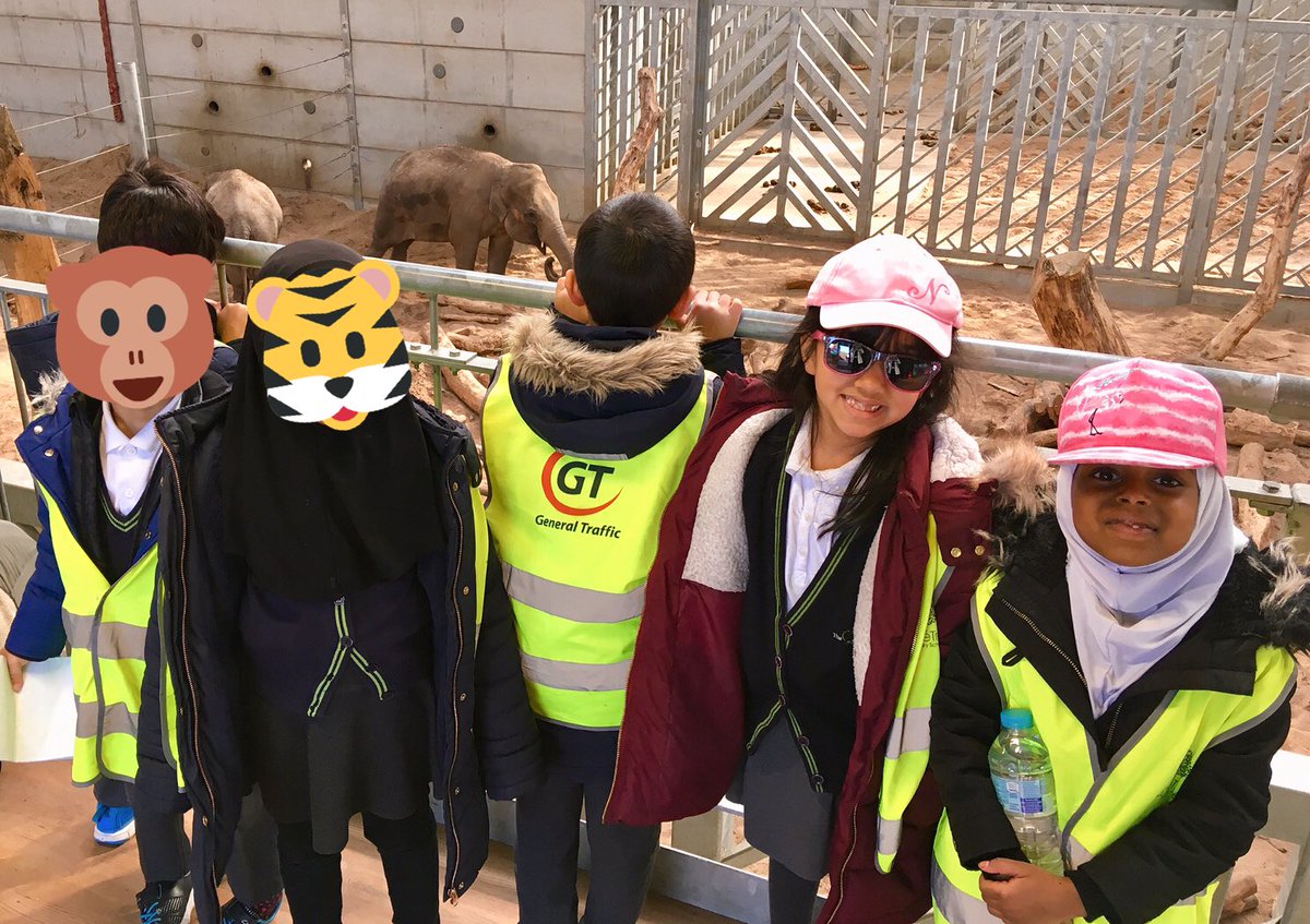 And just like that, our Rumble in the Jungle topic has come to an end but WOW did we go out with a bang!
Thank you <a href="/BlackpoolZoo/">Blackpool Zoo</a> for a trip to remember! 🐘🐅🦍🦒