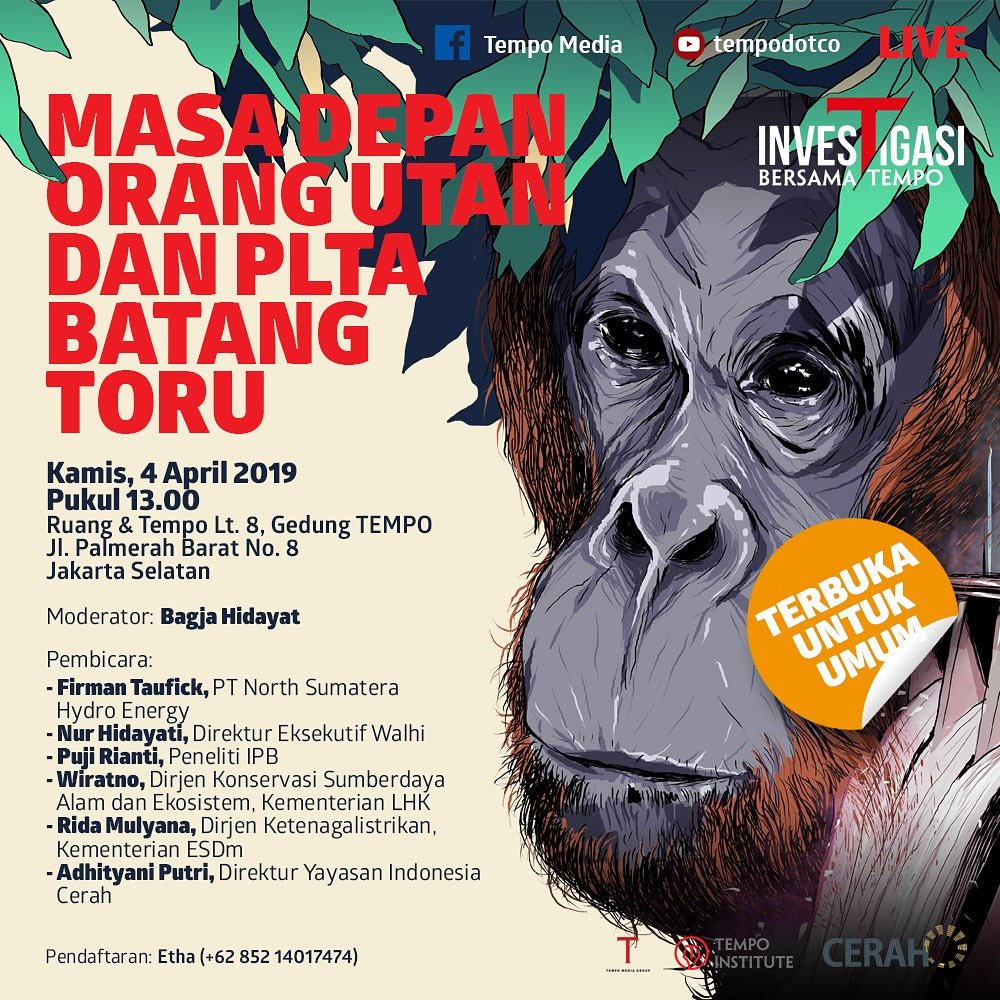 bioipb's tweet photo. Dr Puji Rianti will share her expertise in #Orangutan #biology and its #conservation. 
#batangtoru #bioipb #tempo https://t.co/TMlBgcoYlc