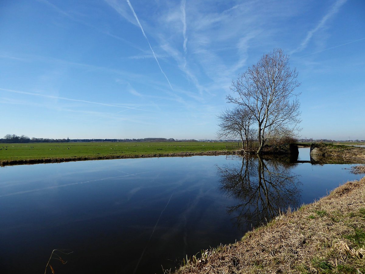 MooisteRoutes's tweet photo. Wijde blik (De Rijp, Noord-Holland) https://t.co/E0mQ9XztAj
Wijde Blik is een flinke poldertocht over rustige landweggetjes en fietspaden binnen de driehoek #Alkmaar, #Hoorn en #Purmerend. Vanaf het...
#DeRijp #Schermerhorn #Avenhorn #Berkhout #Bobeldijk #fietsen #natuur #cycle https://t.co/xPnpTp0d4o