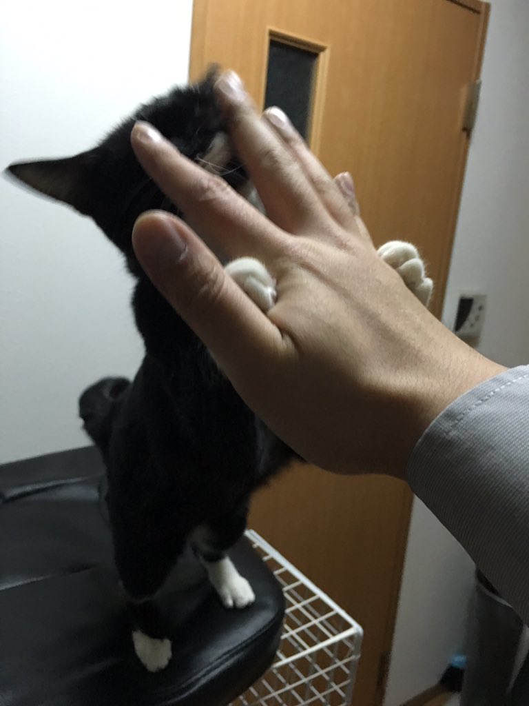 職場の鍵を自宅に忘れてしまい戸締りが出来なかったがコナンを履修していたおかげで事なきを得た話 セロテープは月曜に回収して完全密室犯罪成立 Togetter 職場の鍵を自宅に忘れてしまい戸締りが出来なかったがコナンを履修していたおかげで事なきを得た話 セロテープは月曜に回収して完全密室犯罪成立 Togetter