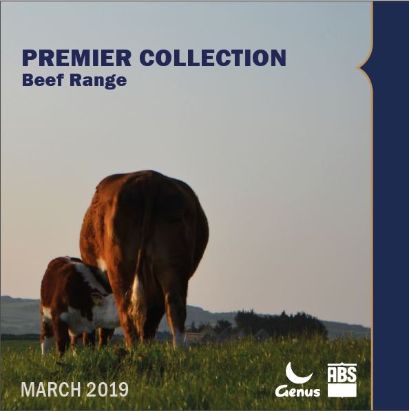 GenusABS's tweet photo. Introducing our Premier Collection Beef Range Brochure!
A total of 18 beef breeds are represented in this book, offering the largest, most diverse and superior range of beef sires to our suckler beef customers!
Click the link now!
https://t.co/7oELLw33Pc
#GenusBeef https://t.co/5LAn6RaRwV