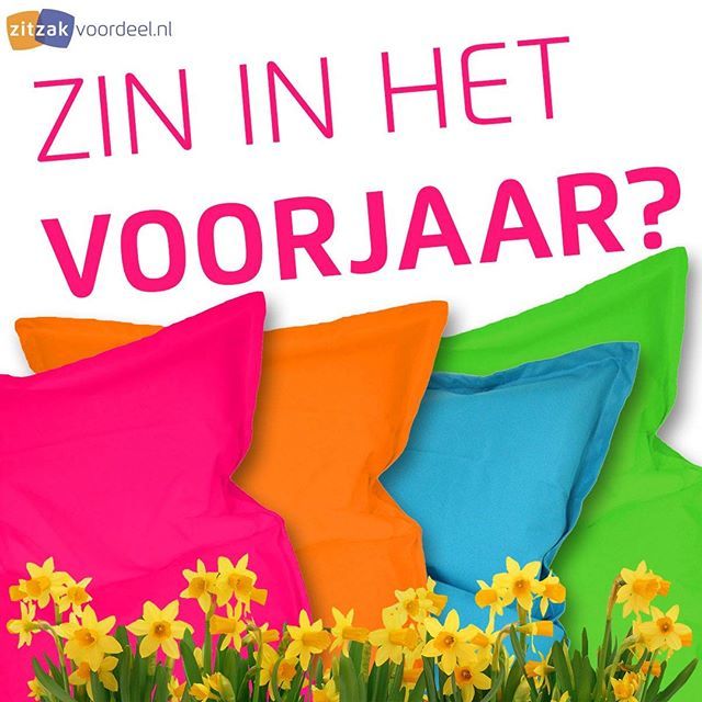 Wat een lekker #weer vandaag! Vandaagt misschien wel 20 graden, wie weet ;)
De Narcissen zijn al uit en de #tuin worden weer #zomerklaar gemaakt. en wat is er nu mooier dan spelen met verschillende #kleuren. Bekijk bijvoorbeeld het uitgebreide assortimen… ift.tt/2CIdnzd