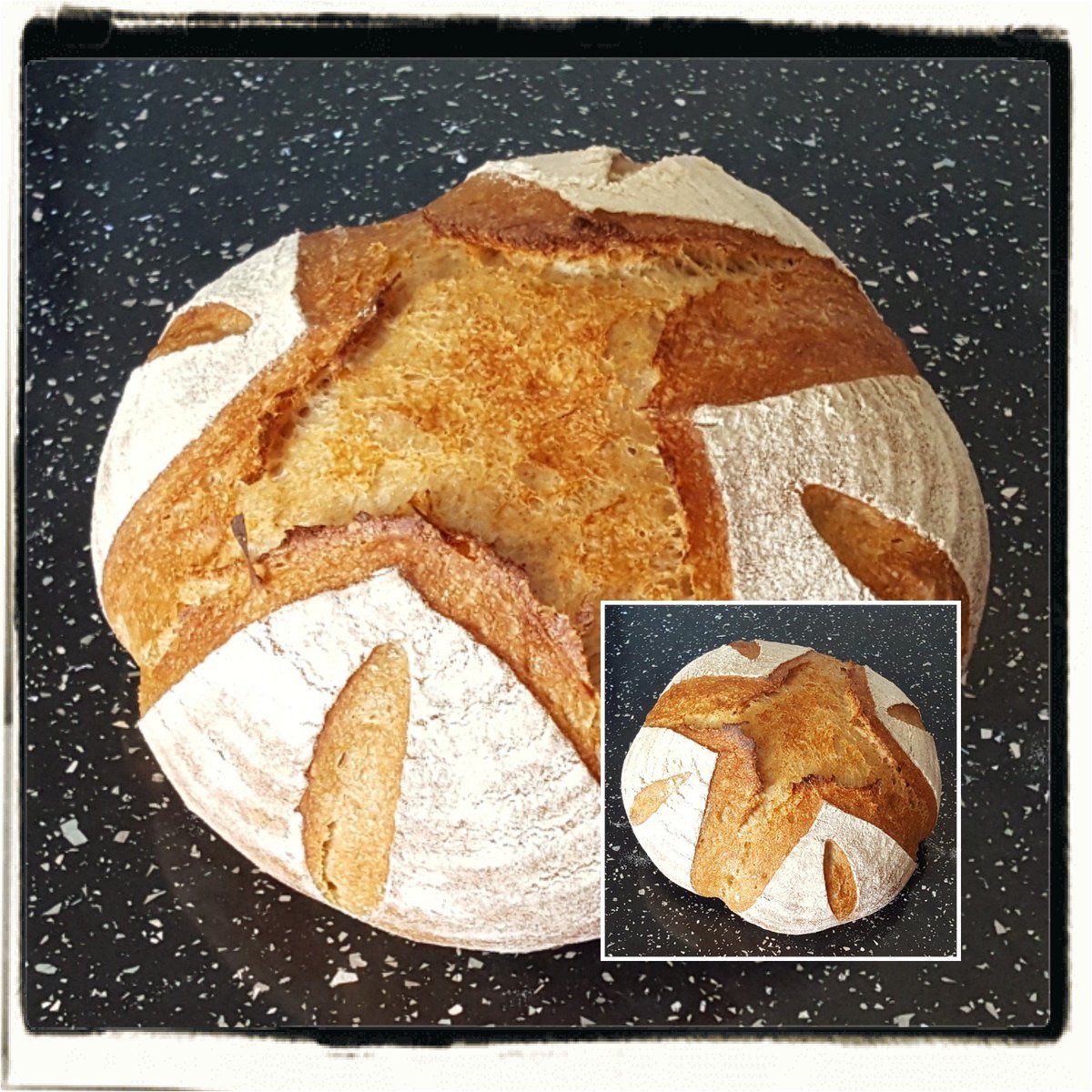 ShanDS14's tweet photo. ^_* Wholemeal Sourdough with #CanadianFlour #KamutKhorasanFlour & #RyeFlour ~ #Sourdough #Dezgard16 #ColdFermentation #23HoursPlus 🍞🍞🍞
Me & #Dezgard16 ~ "Run Away" mood... how we talk this way ha!! 🍞🍞😘 https://t.co/3Nt25E9TWY