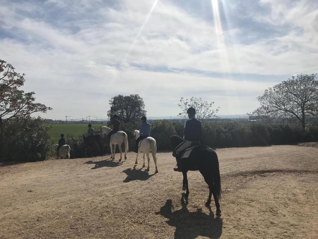 CEI_Tartessos's tweet photo. Nuestros alumnos del Grado Medio de Actividades Físico Deportivas en el Medio Natural, ya realizan rutas a caballo por el fantástico entorno del Club Hípico de Córdoba. #GMTECO #rutasacaballo #EstudiaFPenCórdoba #YoCreoEnLaFP @CEI_Tartessos https://t.co/39bKEyeB66