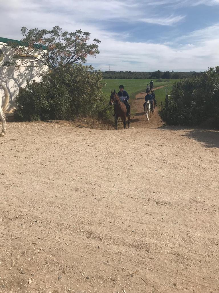 CEI_Tartessos's tweet photo. Nuestros alumnos del Grado Medio de Actividades Físico Deportivas en el Medio Natural, ya realizan rutas a caballo por el fantástico entorno del Club Hípico de Córdoba. #GMTECO #rutasacaballo #EstudiaFPenCórdoba #YoCreoEnLaFP @CEI_Tartessos https://t.co/39bKEyeB66