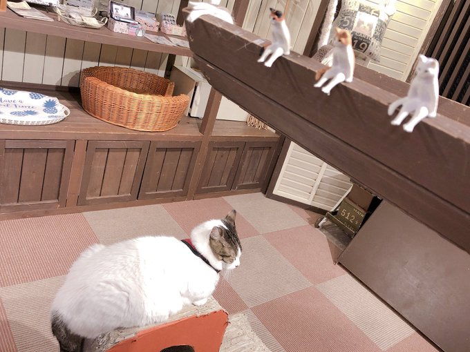 Twitterのコスプレ画像38